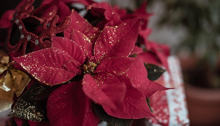 Świąteczne stroiki na stół - jak wybrać odpowiednie, aby stworzyć klimatyczne miejsce do pracy?