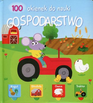 100 okienek do nauki. Gospodarstwo okładka