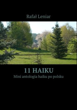 11 Haiku okładka