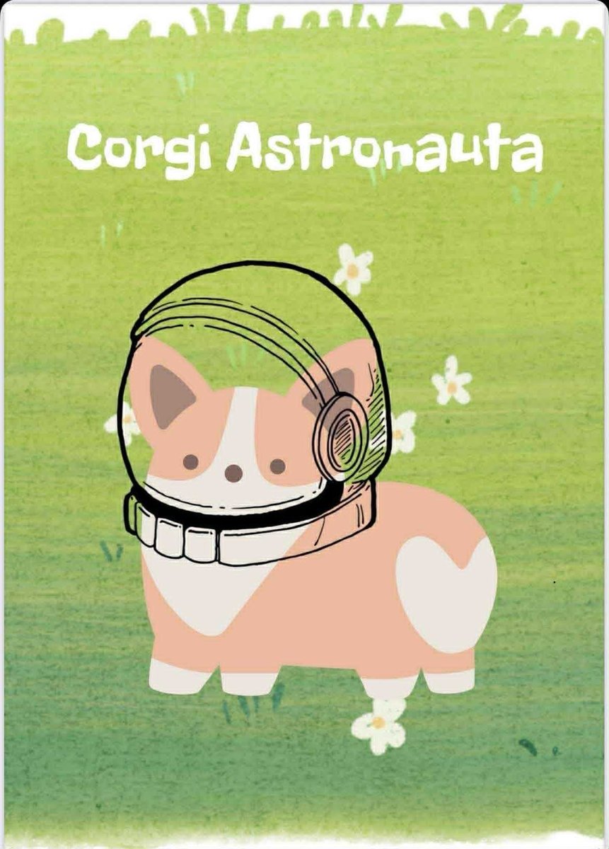 Corgi Astronauta okładka
