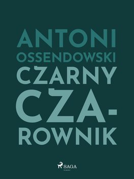 Czarny Czarownik okładka