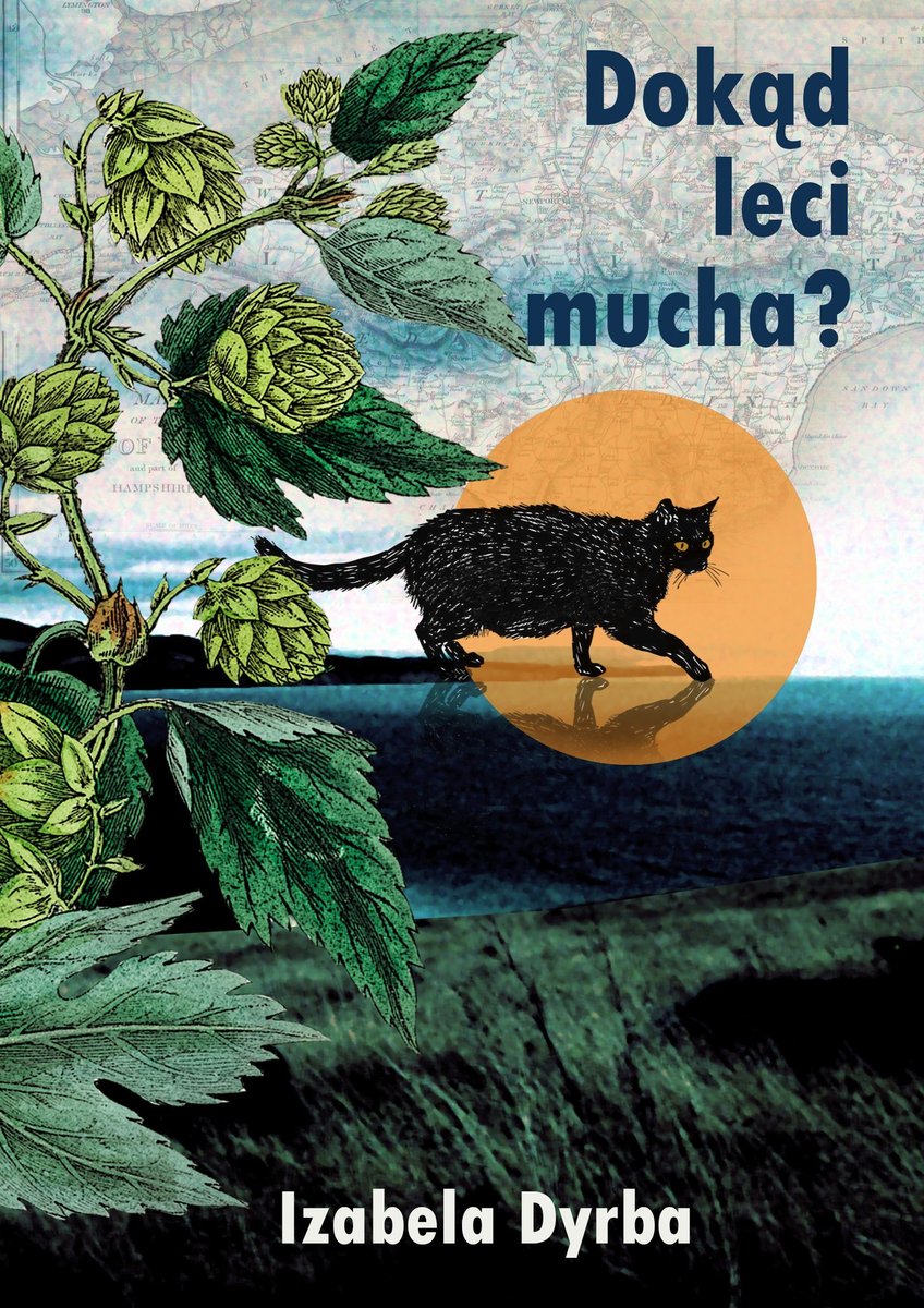 Dokąd leci mucha? okładka