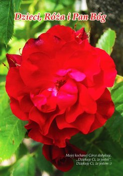 Dzieci, Róża i Pan Bóg okładka