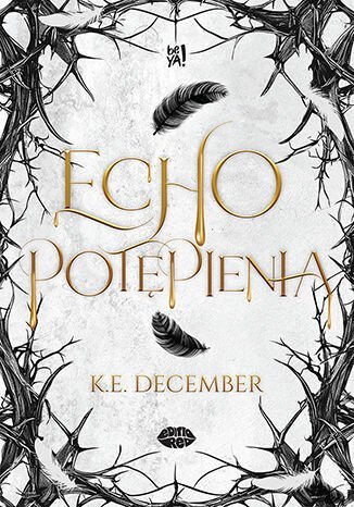 Echo potępienia cover