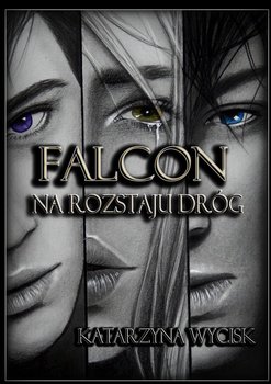 Falcon. Tom 2. Na rozstaju dróg okładka
