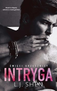 Intryga. Brutal to kłopoty odziane w niezły garnitur okładka