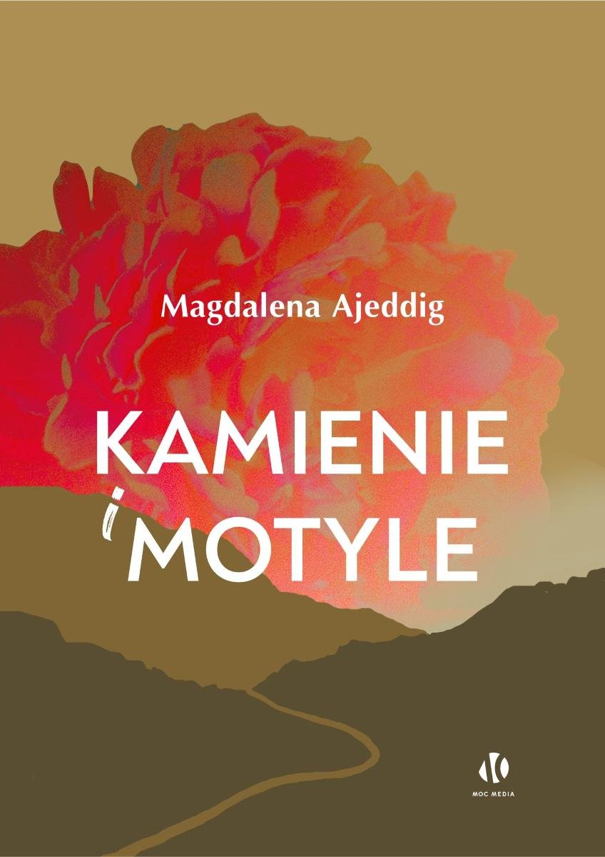 Kamienie i motyle okładka