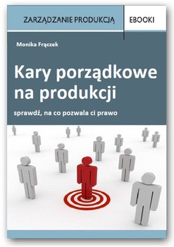 Kary porządkowe na produkcji okładka