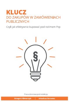 Klucz do zakupów w zamówieniach publicznych. Czyli jak efektywnie kupować pod reżimem Pzp okładka