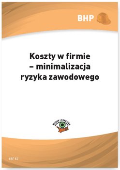 Koszty w firmie - minimalizacja ryzyka zawodowego okładka