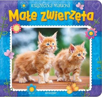 Książeczka malucha. Małe zwierzęta okładka