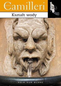 Kształt wody okładka