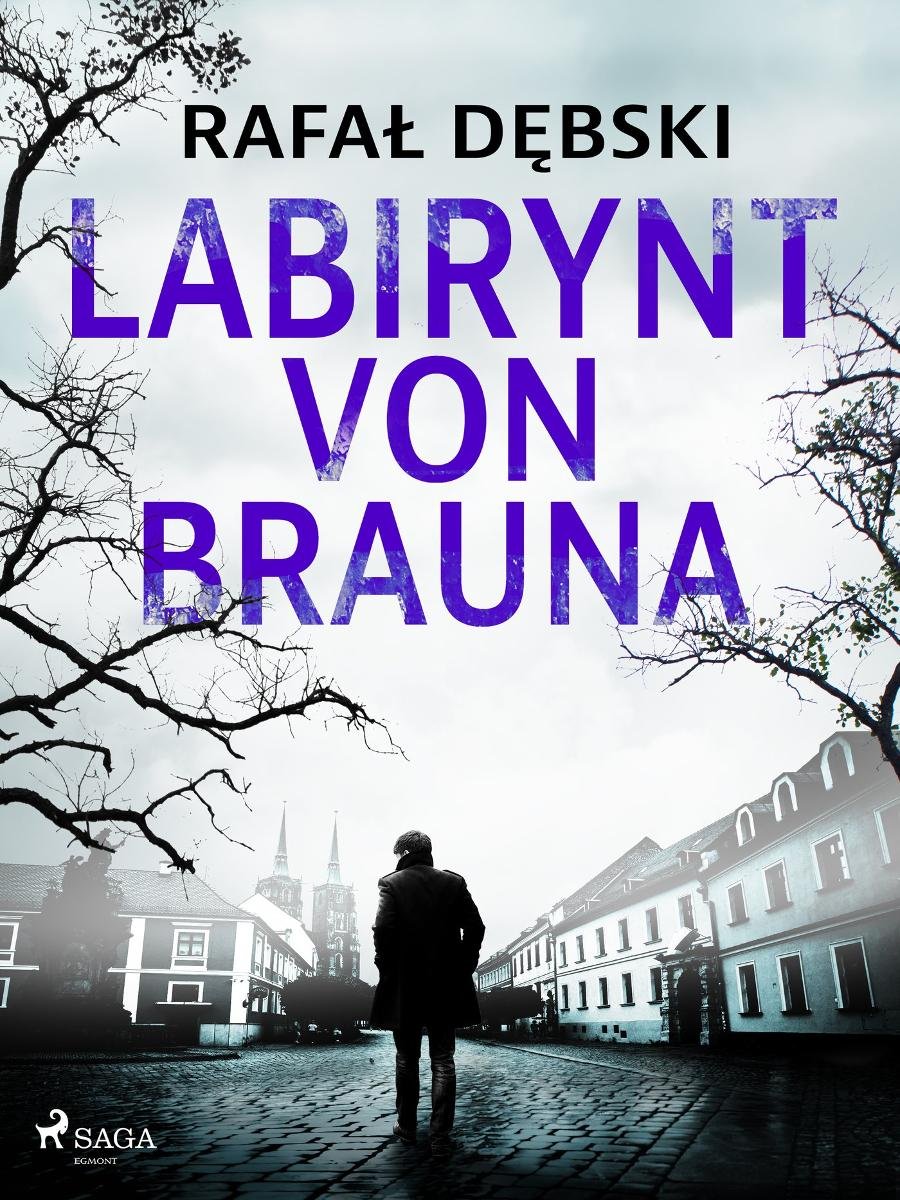 Labirynt von Brauna okładka
