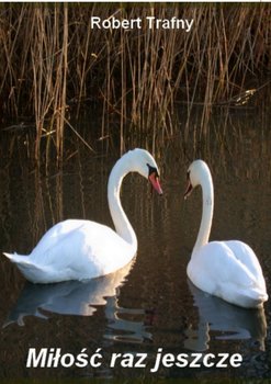 Miłość raz jeszcze okładka