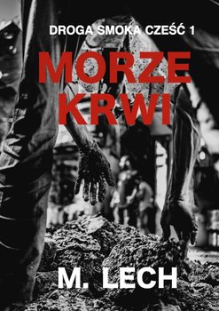 Morze krwi. Droga Smoka. Tom 1 okładka