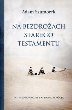 Na bezdrożach Starego Testamentu okładka