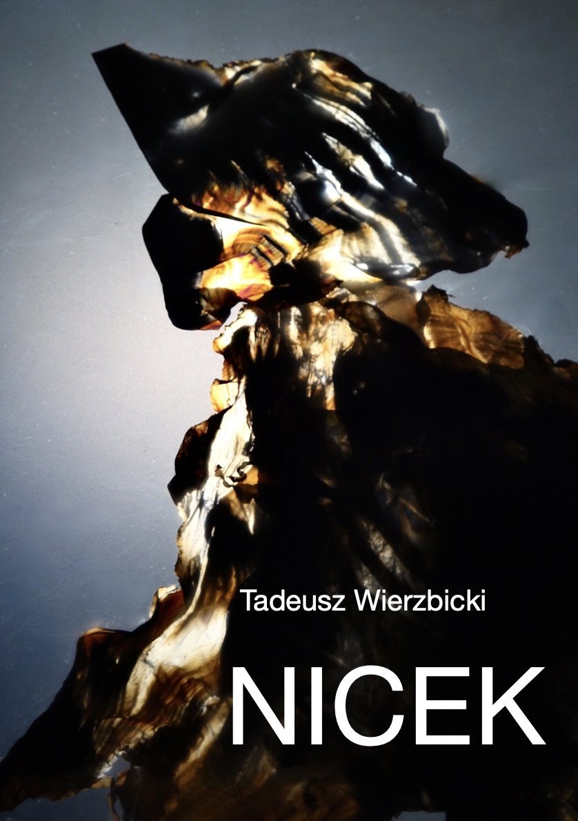 Nicek okładka