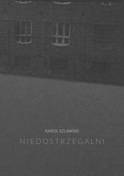 Niedostrzegalni okładka