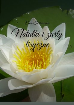 Notatki i żarty liryczne okładka