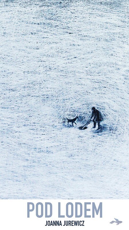 Pod lodem okładka