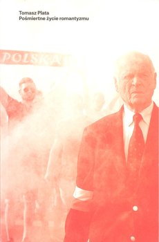 Pośmiertne życie romantyzmu okładka