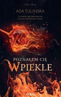 Poznałem Cię w piekle okładka