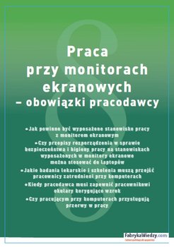 Praca przy monitorach ekranowych. Obowiązki pracodawcy okładka