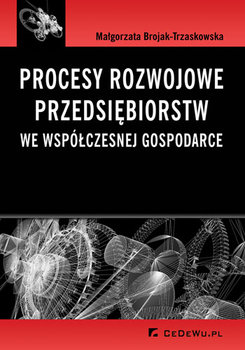 Procesy rozwojowe przedsiębiorstw we współczesnej gospodarce okładka