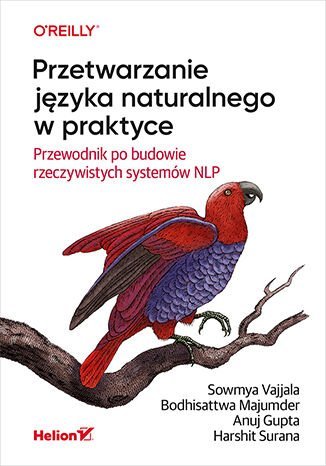 Przetwarzanie języka naturalnego w praktyce. Przewodnik po budowie rzeczywistych systemów NLP okładka