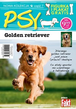 Psy. Część 7. Golden Retriver okładka