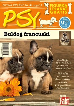 Psy. Tom 4. Buldog francuski okładka