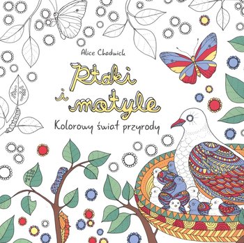 Ptaki i motyle. Kolorowy świat przyrody okładka