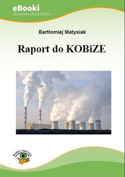Raport do KOBiZE okładka
