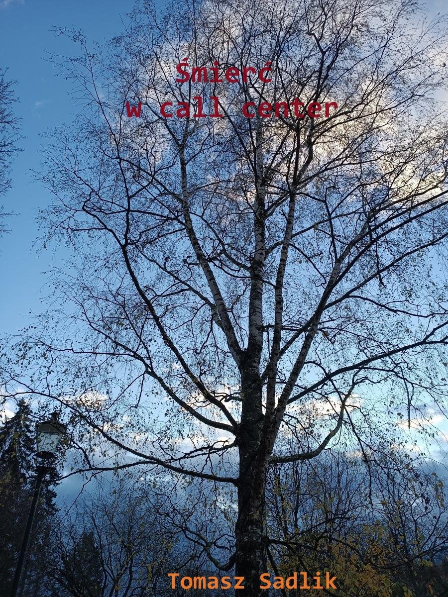 Śmierć w call center okładka