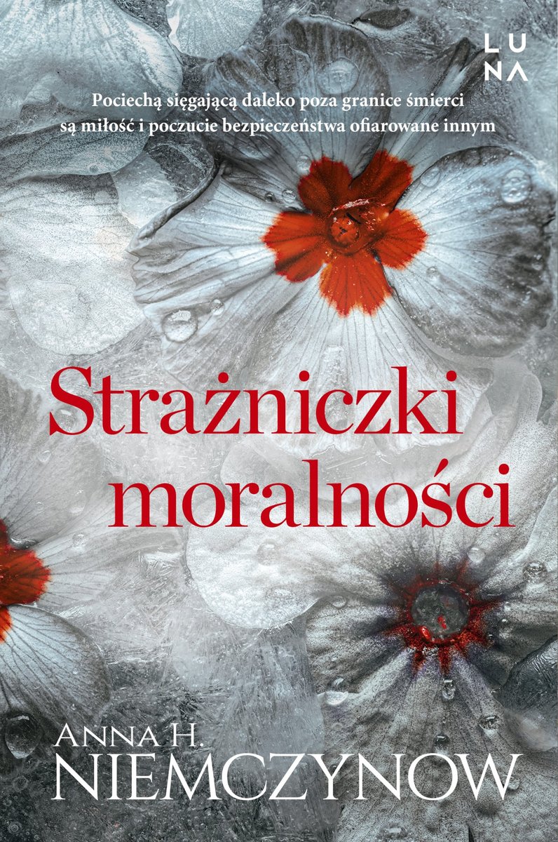Strażniczki moralności - ebook EPUB okładka