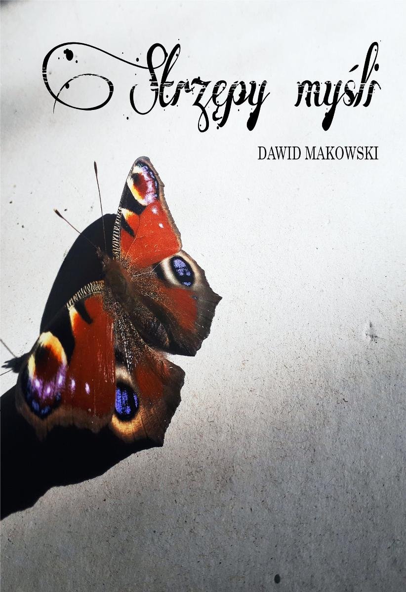 Strzępy myśli okładka