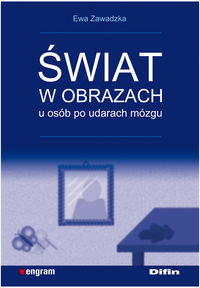 Świat w obrazach u osób po udarach mózgu okładka