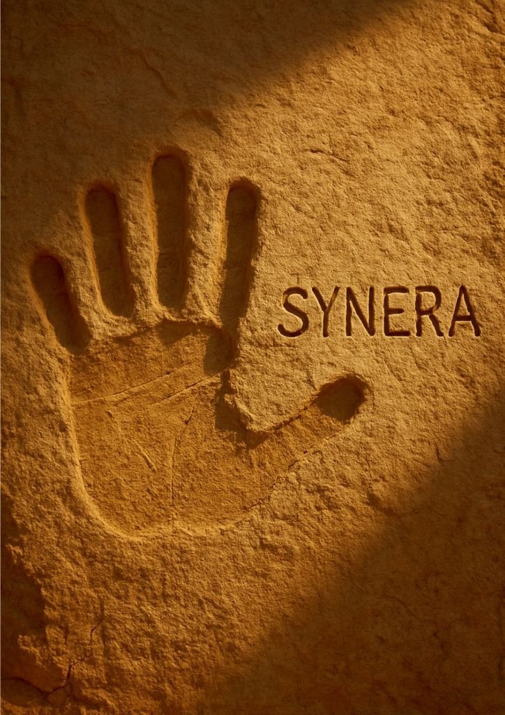 Synera okładka