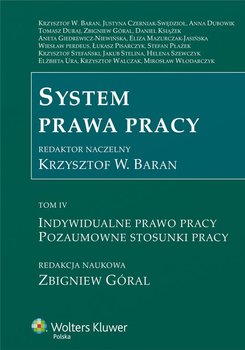 System prawa pracy. Tom 4. Indywidualne prawo pracy. Pozaumowne stosunki pracy okładka