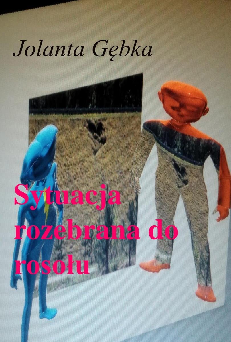 Sytuacja rozebrana do rosołu okładka