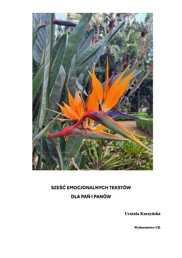 Sześć emocjonalnych tekstów dla pa�� i panów okładka