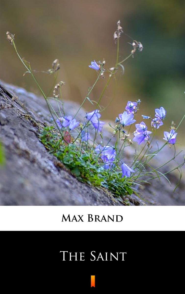 The Saint okładka