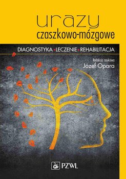 Urazy czaszkowo-mózgowe. Diagnostyka, leczenie, rehabilitacja okładka