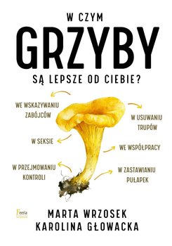 W czym grzyby są lepsze od ciebie? okładka