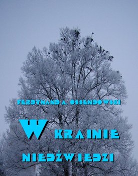 W krainie niedźwiedzi okładka