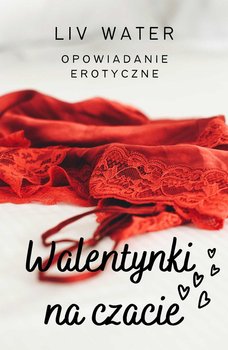 Walentynki na czacie okładka