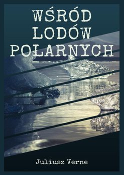 Wśród lodów polarnych okładka