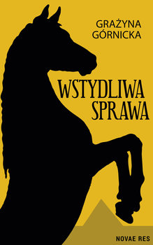 Wstydliwa sprawa okładka